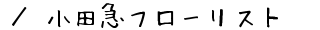 ^c}t[Xg